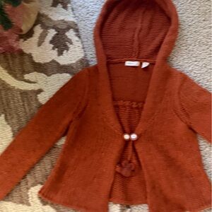 Warm Rust Hooded Cardigan Sweater